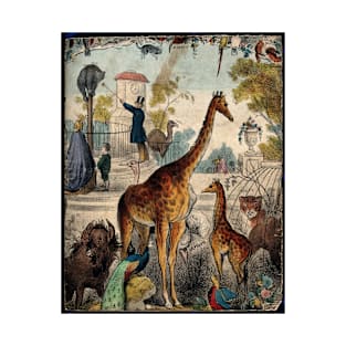 Antique Zoo Print T-Shirt