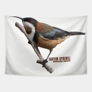 Eastern Spinebill Tapestry