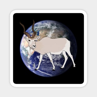 Fabulous planet of diversity : ADDAX Magnet