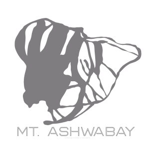 Mt. Ashwabay Resort 3D T-Shirt