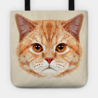 Orange Tabby Cats Face Tote