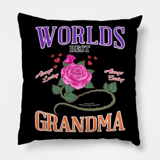 World's Best Grandma Mothers Day Novelty Gift Pillow