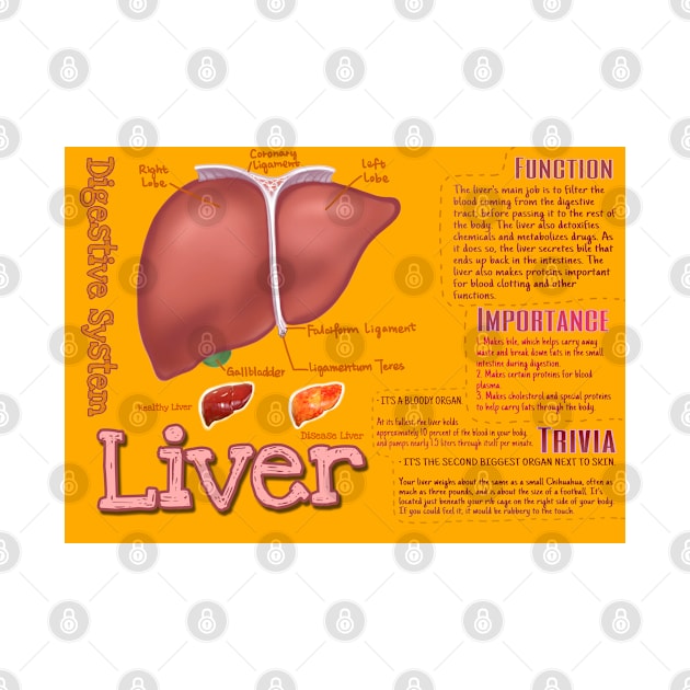 Liver matters to you by aneworldwithjoy