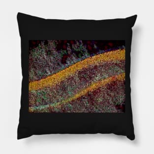 colourful beads rolling slowly down hill Pillow