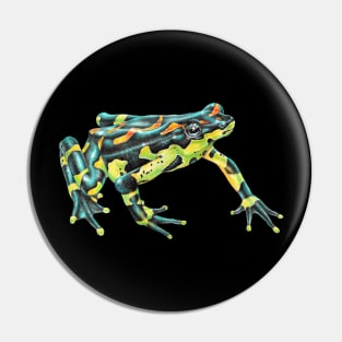 Harlequin Toad Pin