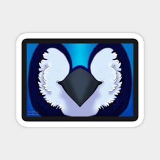 Blue Jay Mask Magnet