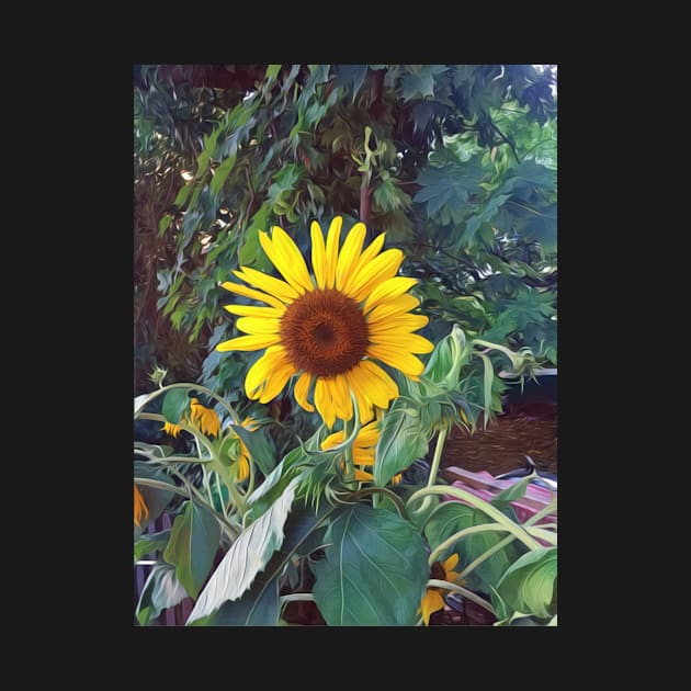 Sunflower in summer by Dturner29