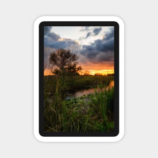 Florida Wetland at Sunset Magnet