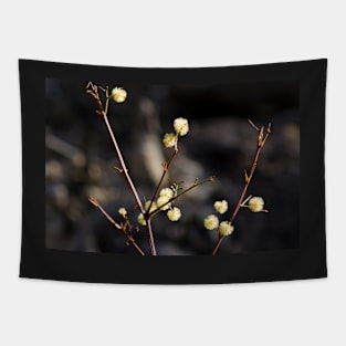 Wattle Flowers Tapestry