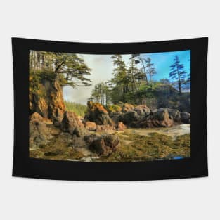 Cape Scott Rugged Beach Tapestry