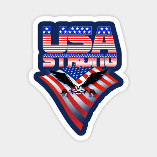 USA Strong Bald Eagle and Flag Magnet