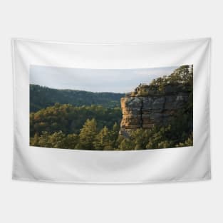 Red River Gorge Painting Tapestry