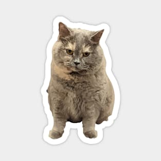 Funny cat brown Magnet