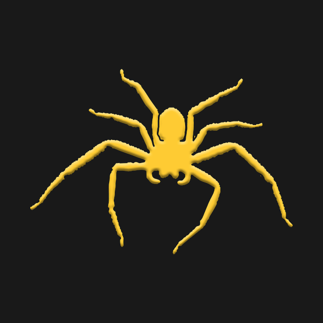 Spider Insect 5 by funfun