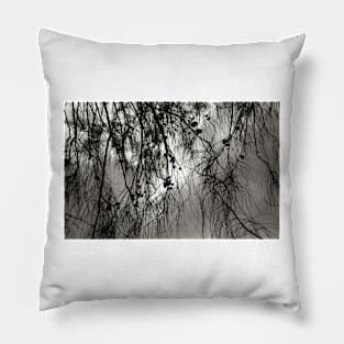 Casurarina Sky Pillow