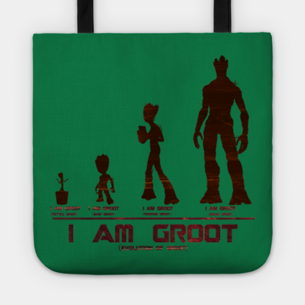 Evolution of groot