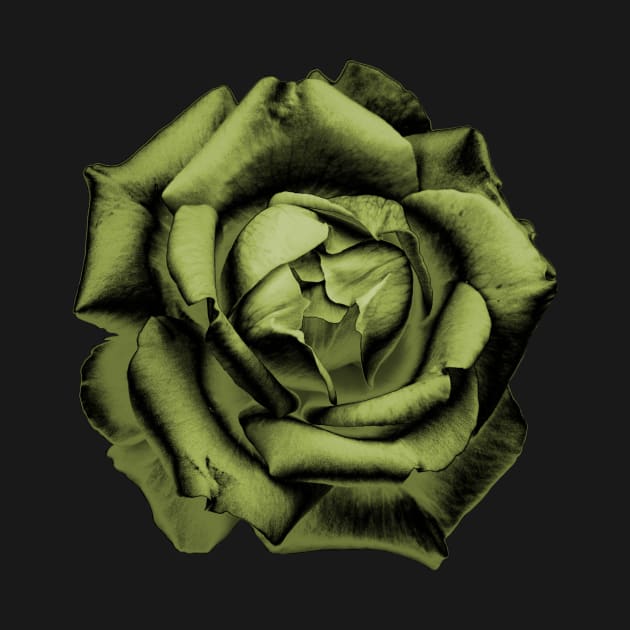 Yellow Charcoal Rose by nautilusmisc