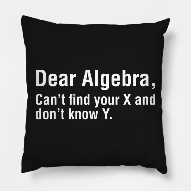 Dear Algebra, Can't Find Your X and Don't Know Why Pillow by CityNoir