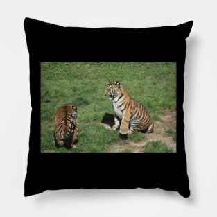 Tiger Cubs Pillow