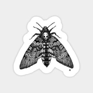 Dotwork Death's-head Hawk-moth Magnet