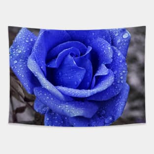 Blue rose Tapestry