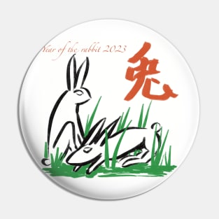 Year of the rabbit Pin