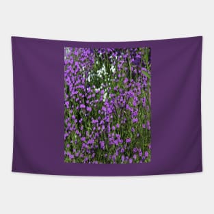 Photo Violet Fields of Flowers Tapestry