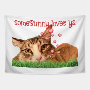 Some Bunny loves you Maine Coon cat Tapestry