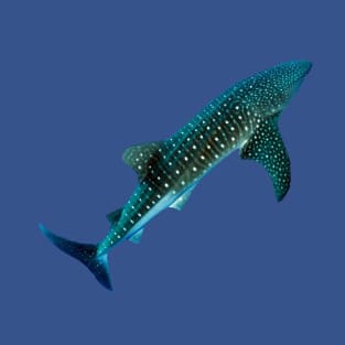 Whale Shark Lover T-shirt T-Shirt