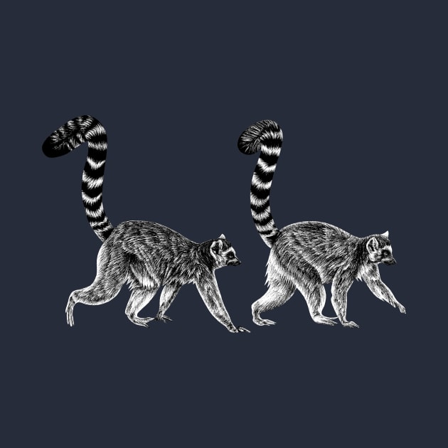 Pair of ring-tailed lemur monkeys by lorendowding