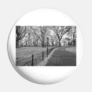 Walking Path Central Park BW Pin