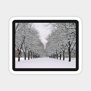 Winter Splendor Magnet