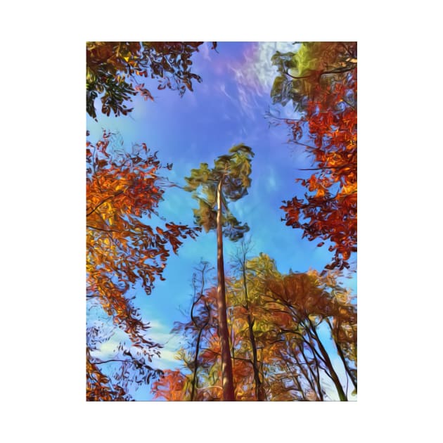 Tops of tress in an autumn setting by Dturner29