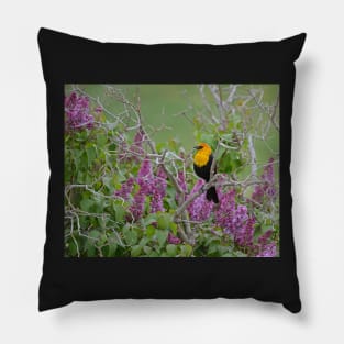 Yellow Head Blackbird and Lilacs Pillow