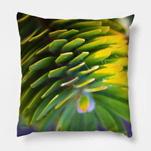 "Pine cone" Pillow