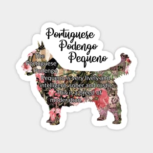 Portuguese Podengo Pequeno Magnet