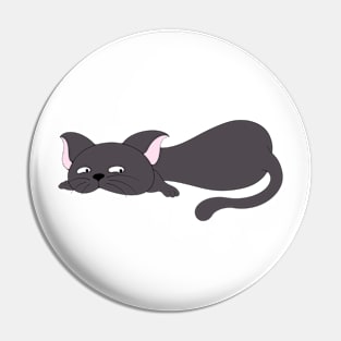 Cute cat pet moment Pin