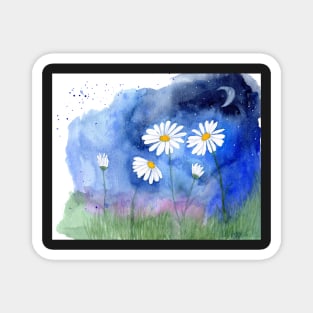 Daisies at Night Magnet