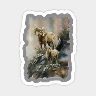 Bighorns Magnet