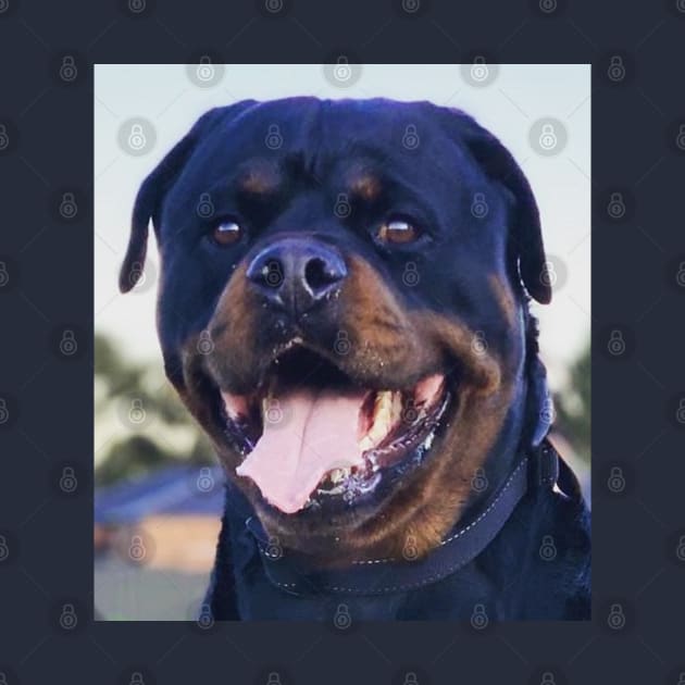 Rottweiler Pooch Smiling by PLANTONE