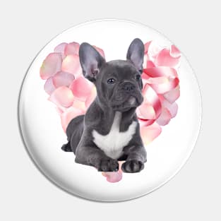 Cute French Bulldog! Especially for Frenchie owners! Pin