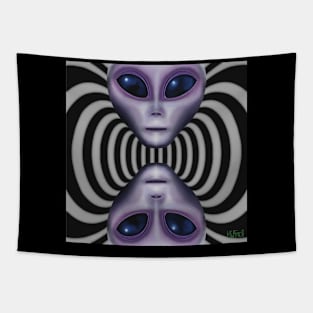 Alien Wormholes Tapestry