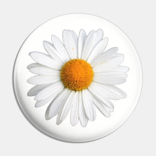 White Daisy Pin