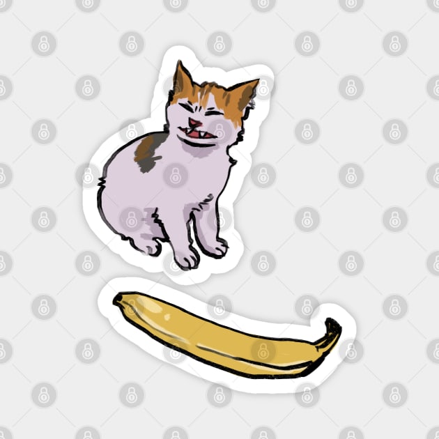 Angry cat no banana meme calico kitty hate yellow fruit Magnet by mudwizard