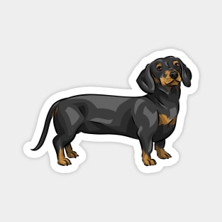 Black and Tan Dachshund Dog | Cute Sausage Dog Magnet