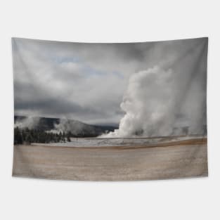 A Dusting of Snow in Yellowstone National Park Tapestry