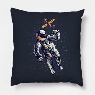 High Flyer Pillow