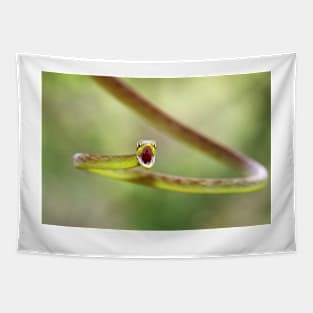 Green Parrot Snake - Costa Rica Tapestry