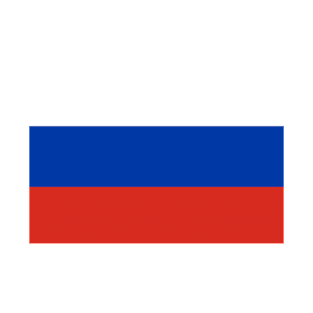 Russia flag T-Shirt