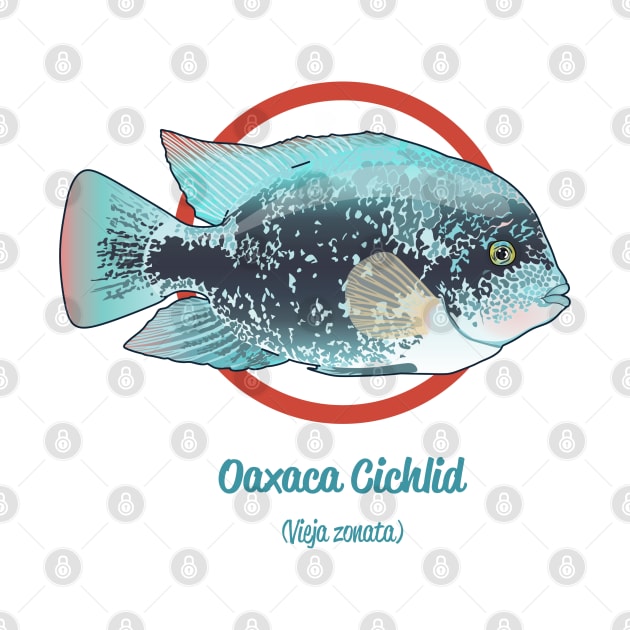 Oaxaca Cichlid by Reefhorse